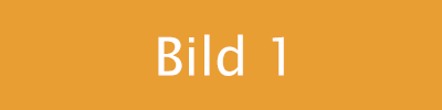 Testbild
